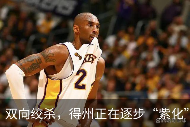双向绞杀，得州正在逐步“紫化”