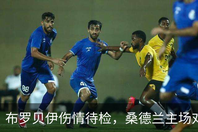 布罗贝伊伤情待检，桑德兰主场对利兹联或让他领衔锋线