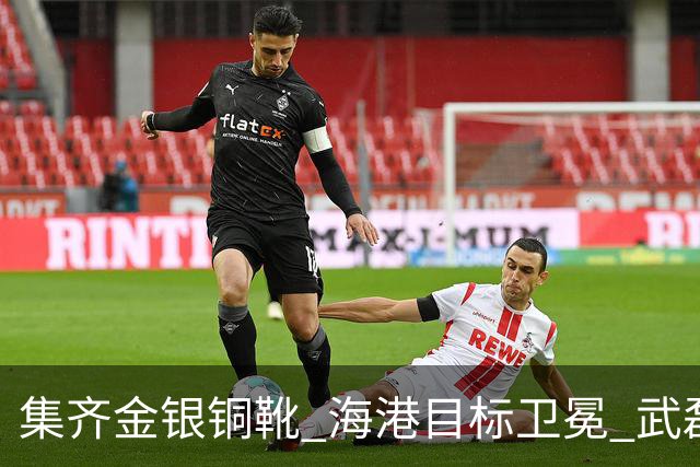 集齐金银铜靴 海港目标卫冕 武磊的伤是个麻烦