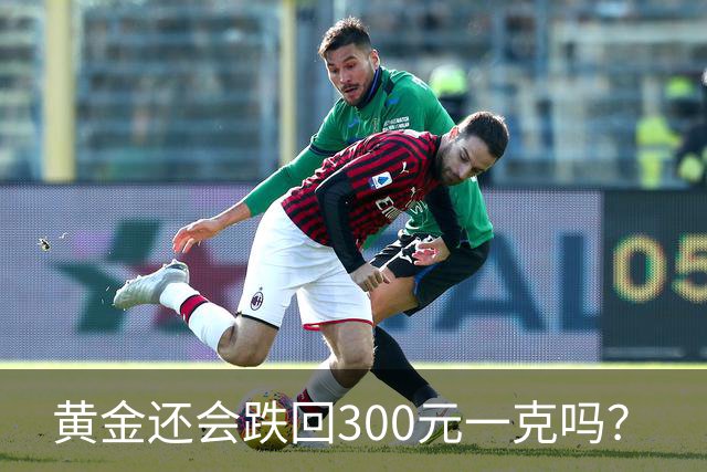 黄金还会跌回300元一克吗？
