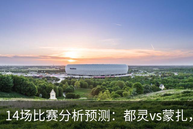 14场比赛分析预测：都灵vs蒙扎，伊普斯维奇vs诺丁汉森林，埃尔夫斯堡vs马尔默，斯图加特vs门兴